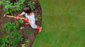 Woman hoeing a flower bed
